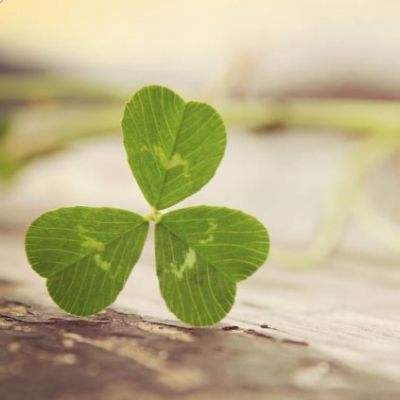 365平台下载app下载